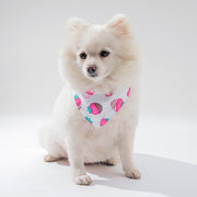 Pet Cat Dog Clothing Accessories